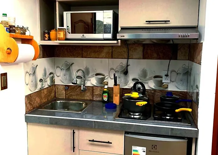 Departamento Centrico En *
