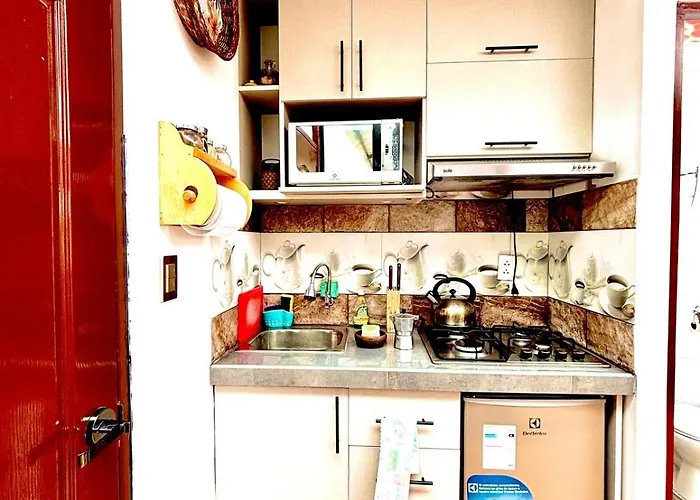 Apartment Departamento Centrico En
